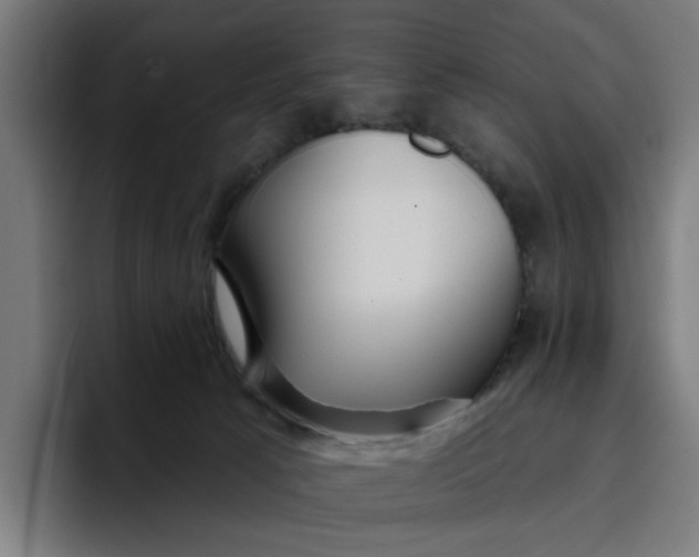 X0000096710033200802191517