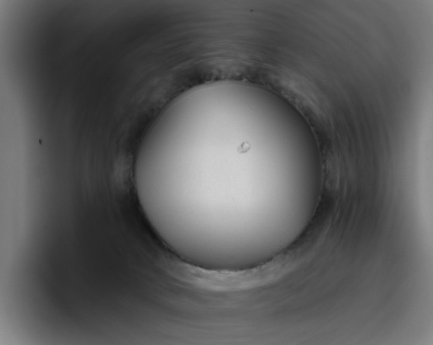 X0000096710034200802191517