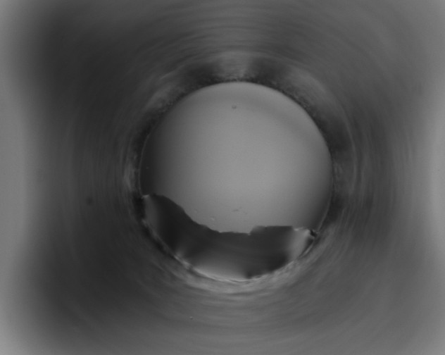 X0000096710035200802191517