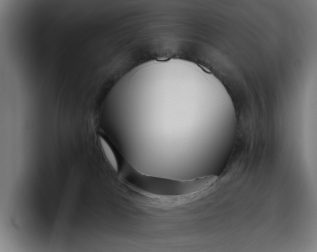 X0000096710037200802191517