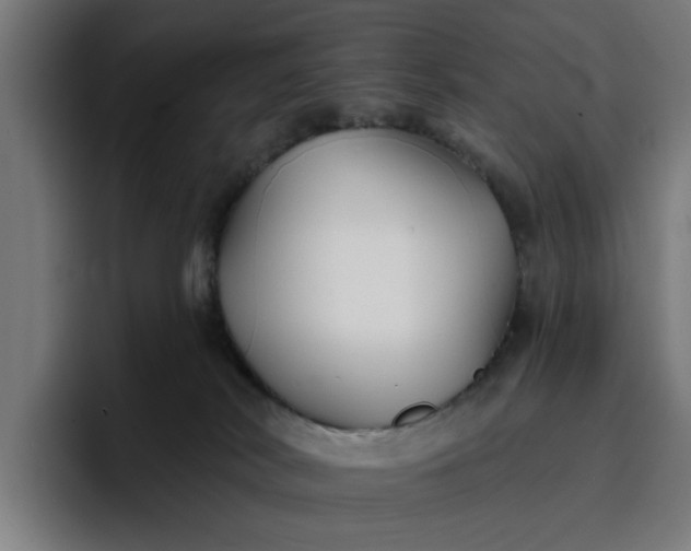 X0000096710038200802191517