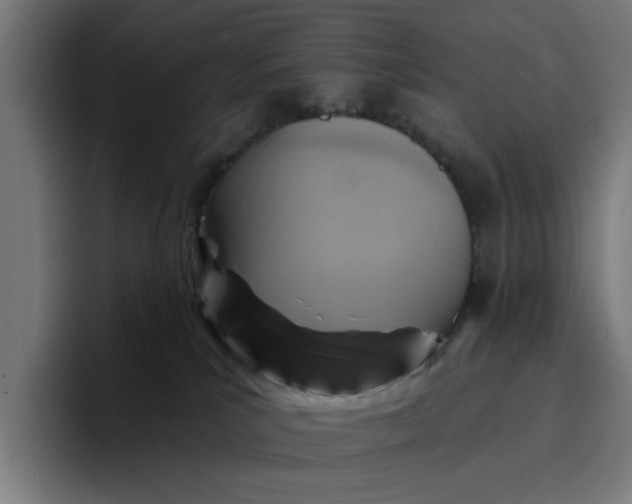 X0000096710039200802191517