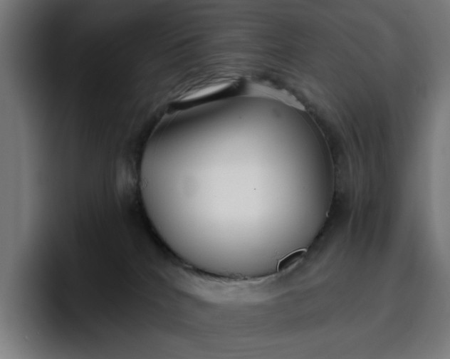 X0000096710040200802191517