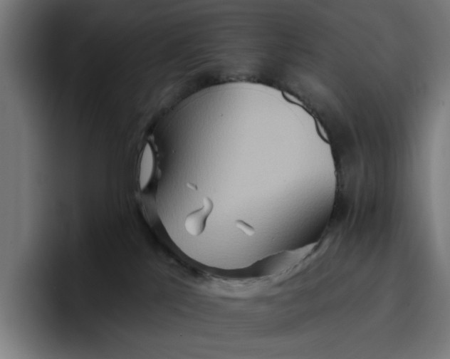 X0000096710041200802191517