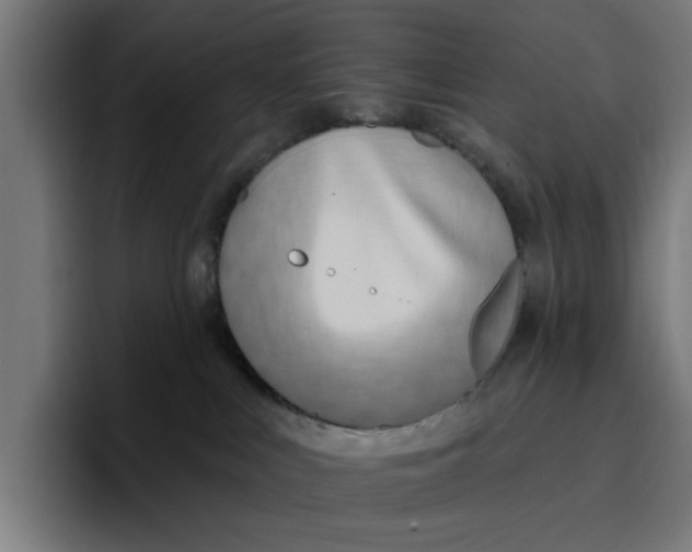 X0000096710043200802191517