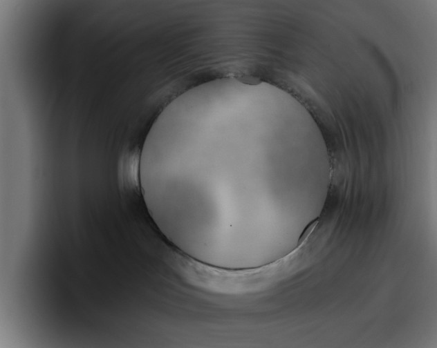 X0000096710047200802191517