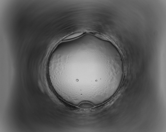 X0000096710049200802191516