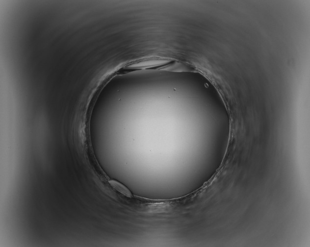 X0000096710050200802191516