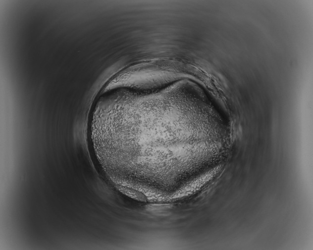 X0000096710051200802191516