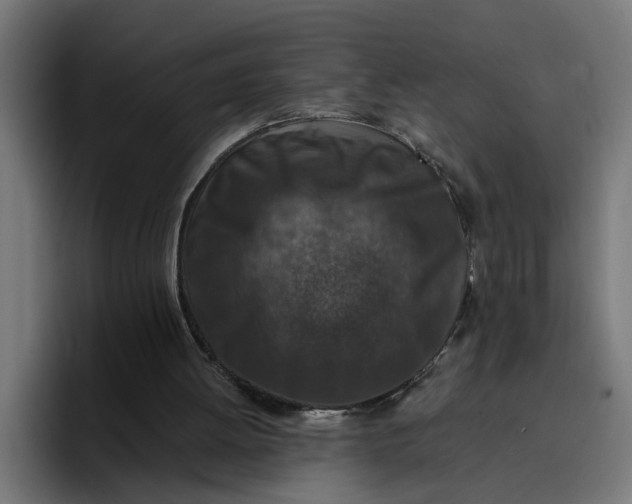 X0000096710052200802191516