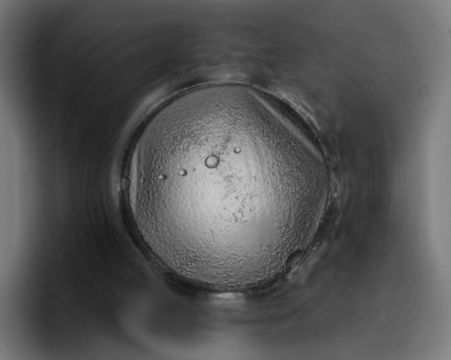 X0000096710053200802191516