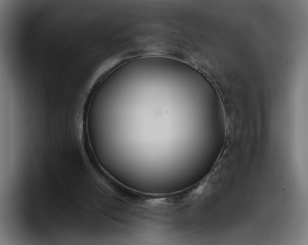 X0000096710054200802191516