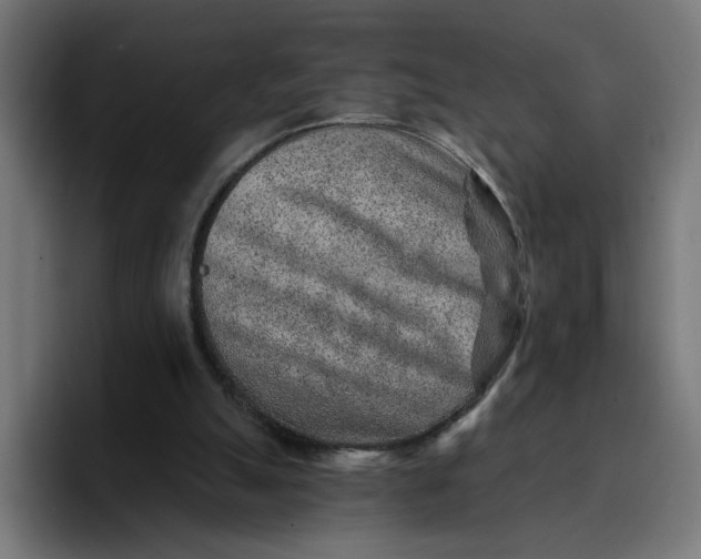 X0000096710055200802191516