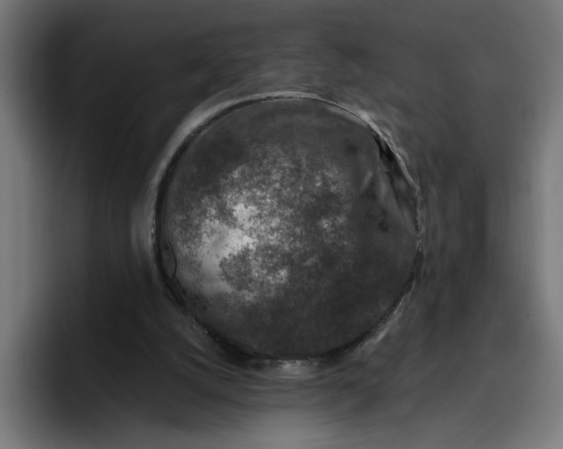 X0000096710056200802191516