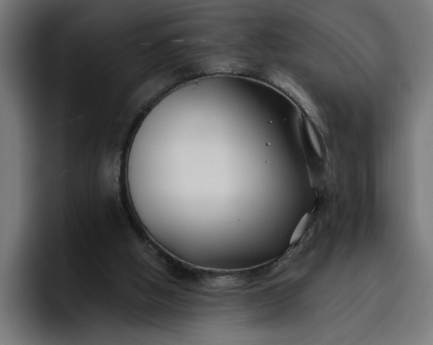 X0000096710058200802191516