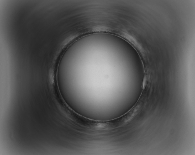 X0000096710060200802191516