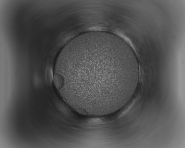 X0000096710061200802191516