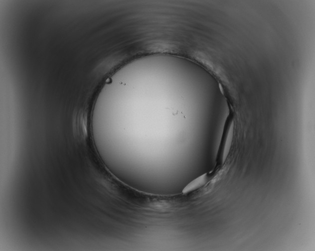 X0000096710062200802191516