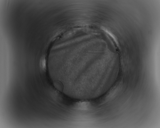 X0000096710067200802191516