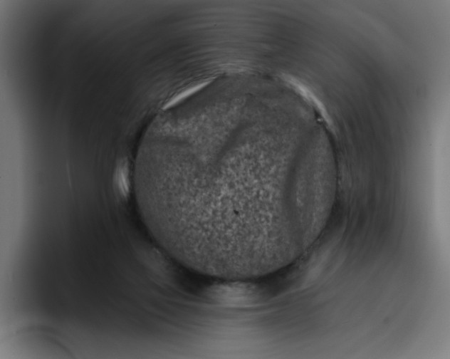 X0000096710069200802191516