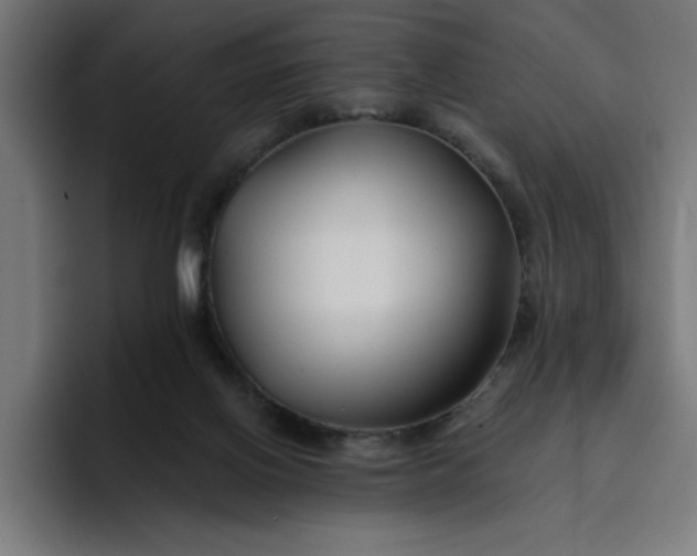 X0000096710070200802191516