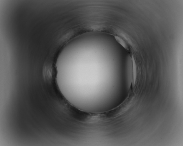 X0000096710072200802191516