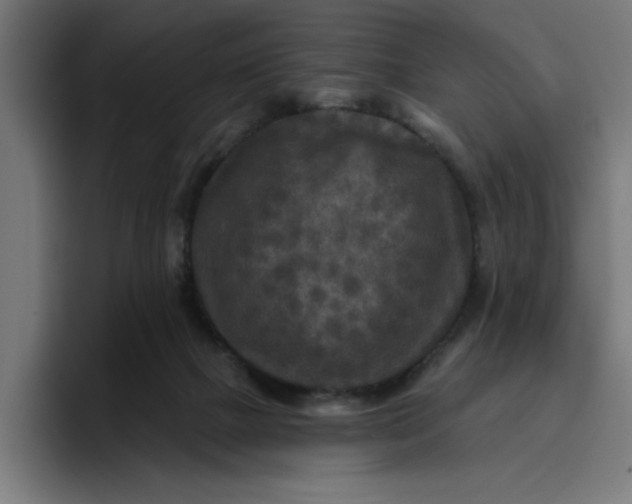 X0000096710073200802191517