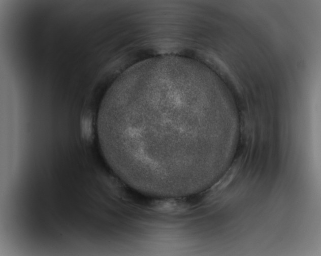 X0000096710074200802191517