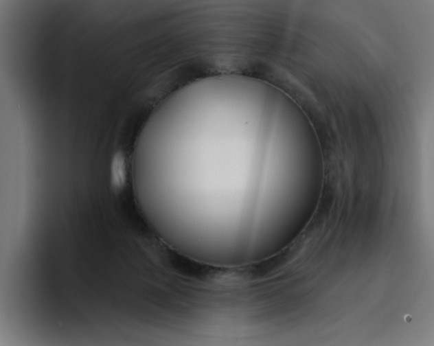 X0000096710075200802191517