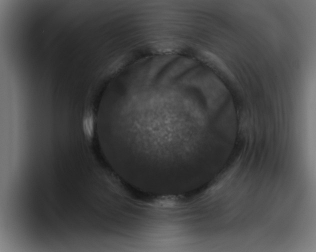 X0000096710076200802191517