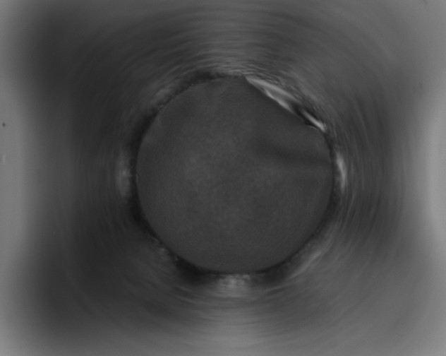 X0000096710080200802191517