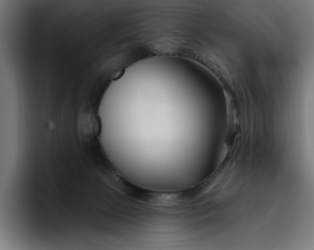 X0000096710081200802191517