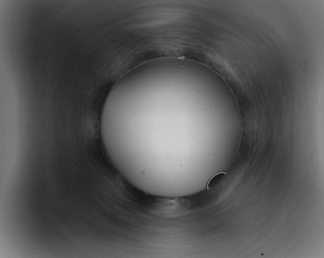 X0000096710083200802191517