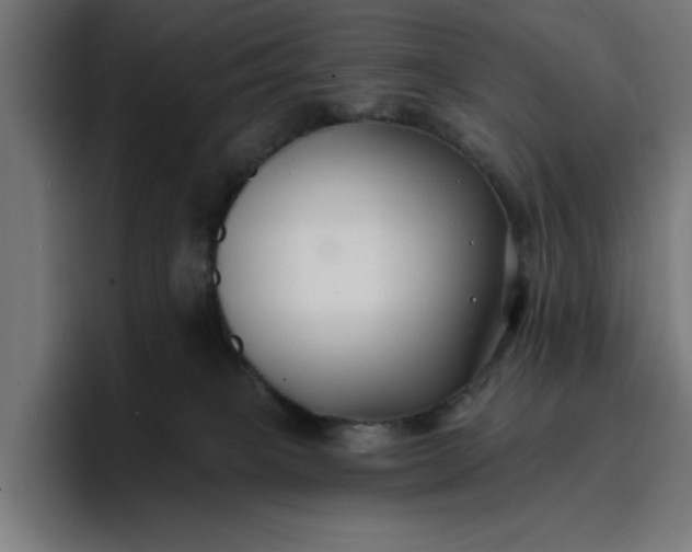 X0000096710085200802191517