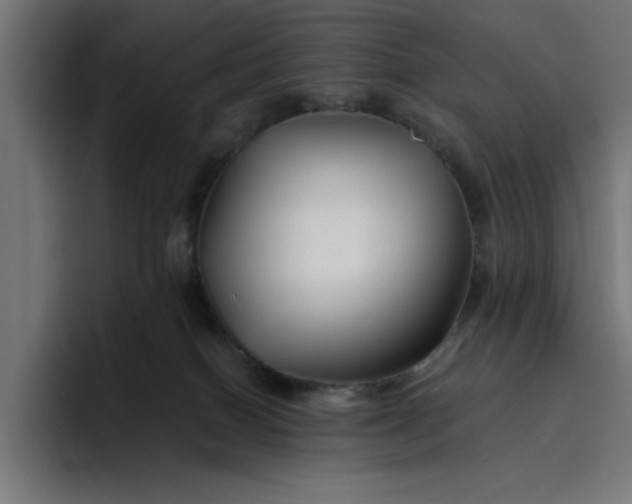 X0000096710086200802191517