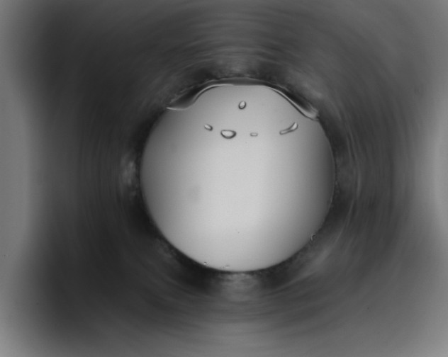 X0000096710087200802191517