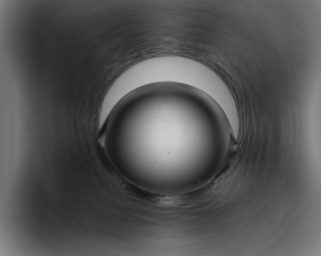 X0000096710088200802191517