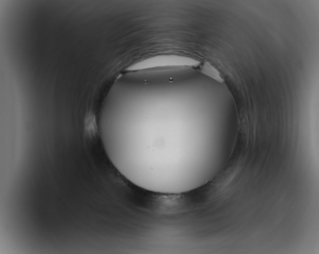 X0000096710089200802191517