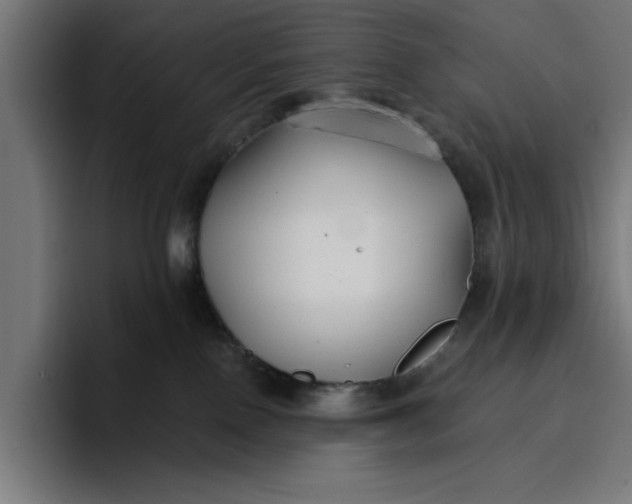 X0000096710090200802191517