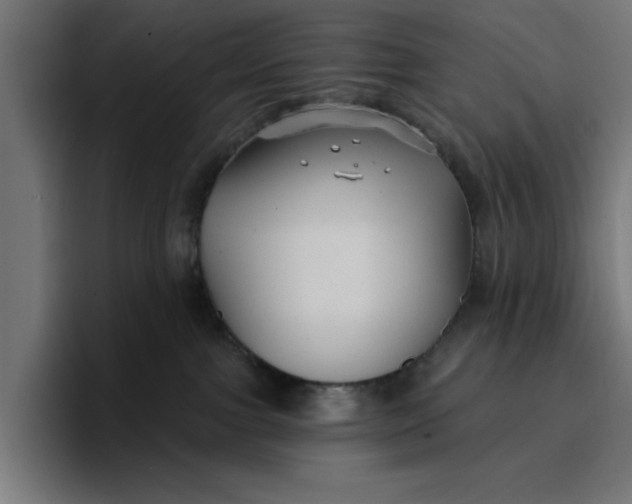 X0000096710091200802191517