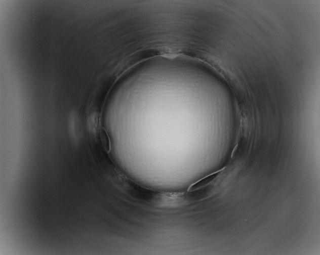 X0000096710093200802191517