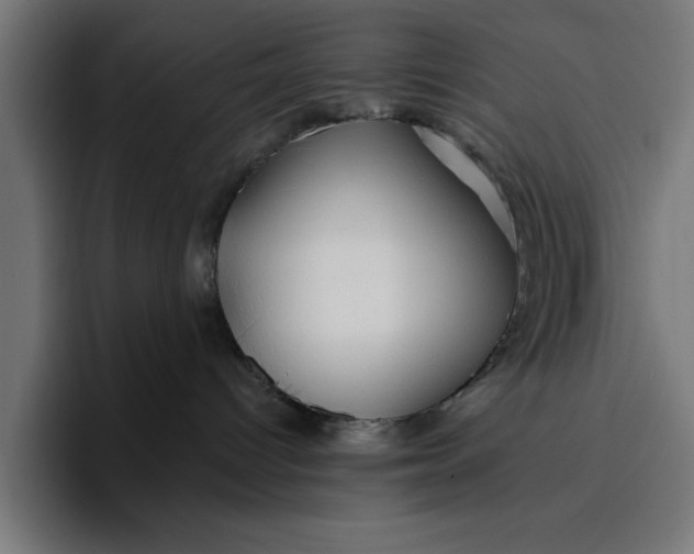 X0000096710096200802191517