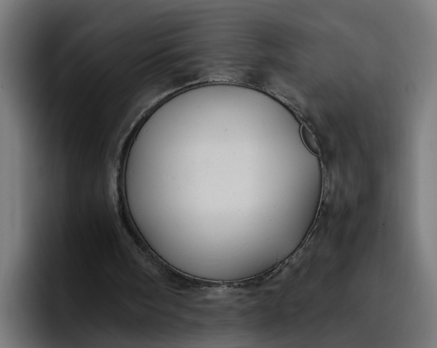 X0000096710098200802191516