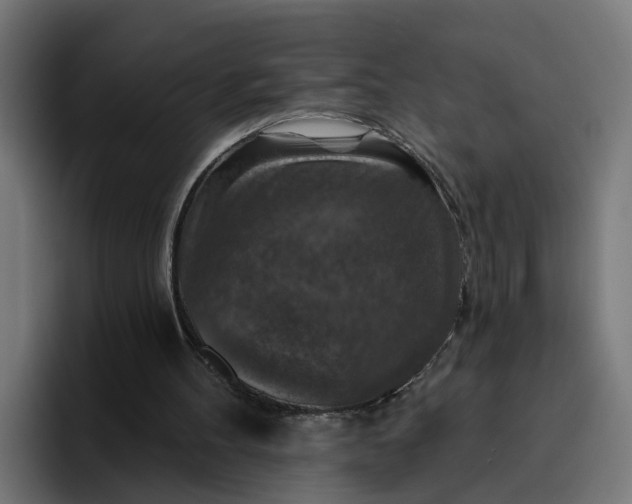 X0000096710100200802191516