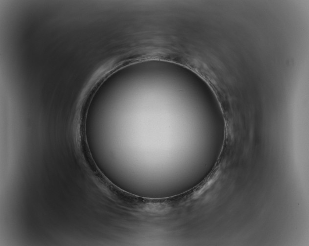 X0000096710101200802191516