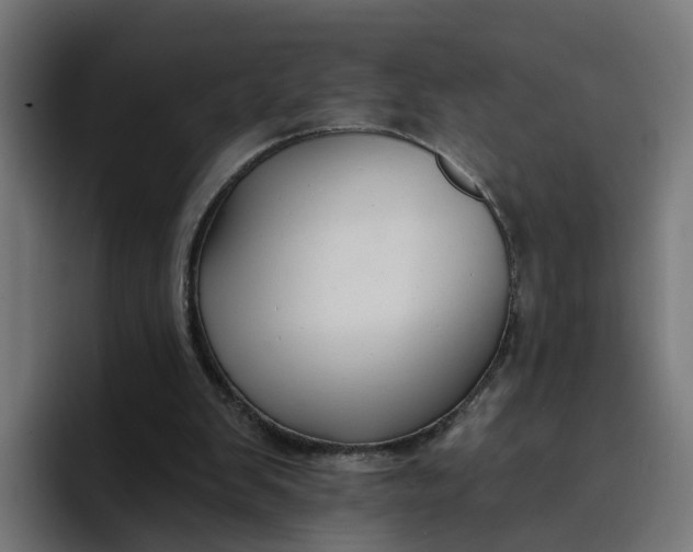 X0000096710103200802191516