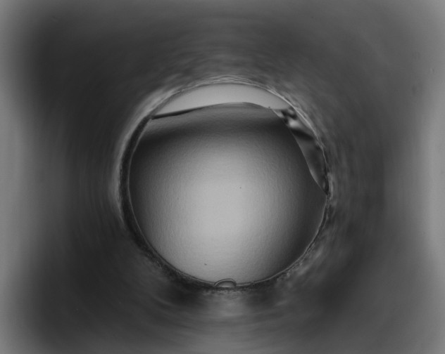 X0000096710104200802191516