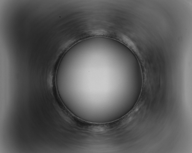 X0000096710106200802191516