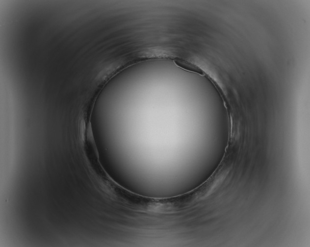 X0000096710109200802191516