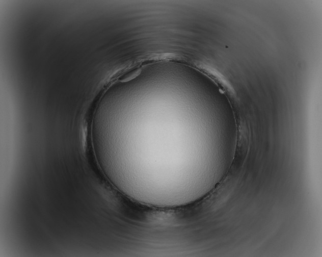 X0000096710110200802191516